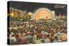 Band Shell by Night, Grant Park, Chicago, Illinois-null-Stretched Canvas