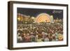 Band Shell by Night, Grant Park, Chicago, Illinois-null-Framed Art Print