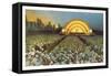 Band Shell, Grant Park, Chicago, Illinois-null-Framed Stretched Canvas