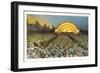 Band Shell, Grant Park, Chicago, Illinois-null-Framed Art Print