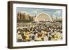 Band Shell, Grant Park, Chicago, Illinois-null-Framed Art Print