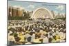 Band Shell, Grant Park, Chicago, Illinois-null-Mounted Art Print