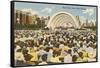 Band Shell, Grant Park, Chicago, Illinois-null-Framed Stretched Canvas