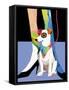 Bandana Dog-Patti Mollica-Framed Stretched Canvas