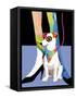 Bandana Dog-Patti Mollica-Framed Stretched Canvas