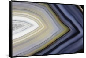 Banded agate close-up-Darrell Gulin-Framed Stretched Canvas