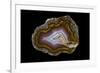 Banded Agate, Quartzsite, AZ-Darrell Gulin-Framed Photographic Print