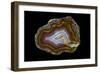 Banded Agate, Quartzsite, AZ-Darrell Gulin-Framed Photographic Print