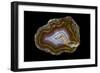 Banded Agate, Quartzsite, AZ-Darrell Gulin-Framed Photographic Print