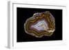 Banded Agate, Quartzsite, AZ-Darrell Gulin-Framed Photographic Print