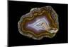 Banded Agate, Quartzsite, AZ-Darrell Gulin-Mounted Photographic Print