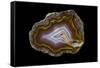 Banded Agate, Quartzsite, AZ-Darrell Gulin-Framed Stretched Canvas