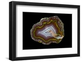 Banded Agate, Quartzsite, AZ-Darrell Gulin-Framed Photographic Print