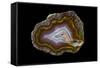 Banded Agate, Quartzsite, AZ-Darrell Gulin-Framed Stretched Canvas