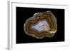 Banded Agate, Quartzsite, AZ-Darrell Gulin-Framed Photographic Print