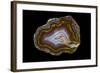 Banded Agate, Quartzsite, AZ-Darrell Gulin-Framed Photographic Print