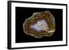 Banded Agate, Quartzsite, AZ-Darrell Gulin-Framed Photographic Print