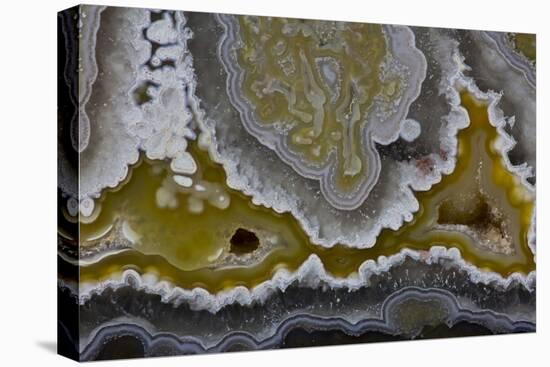 Banded Agate, Quartzsite, AZ-Darrell Gulin-Stretched Canvas