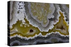 Banded Agate, Quartzsite, AZ-Darrell Gulin-Stretched Canvas