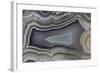 Banded Agate, Quartzsite, AZ-Darrell Gulin-Framed Photographic Print