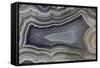 Banded Agate, Quartzsite, AZ-Darrell Gulin-Framed Stretched Canvas