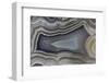 Banded Agate, Quartzsite, AZ-Darrell Gulin-Framed Photographic Print