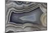 Banded Agate, Quartzsite, AZ-Darrell Gulin-Mounted Photographic Print