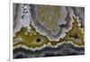 Banded Agate, Quartzsite, AZ-Darrell Gulin-Framed Photographic Print