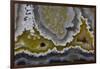 Banded Agate, Quartzsite, AZ-Darrell Gulin-Framed Photographic Print