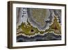 Banded Agate, Quartzsite, AZ-Darrell Gulin-Framed Photographic Print