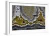 Banded Agate, Quartzsite, AZ-Darrell Gulin-Framed Photographic Print