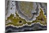 Banded Agate, Quartzsite, AZ-Darrell Gulin-Mounted Photographic Print