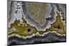 Banded Agate, Quartzsite, AZ-Darrell Gulin-Mounted Photographic Print