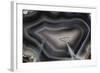 Banded Agate, Quartzsite, AZ-Darrell Gulin-Framed Photographic Print