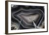 Banded Agate, Quartzsite, AZ-Darrell Gulin-Framed Photographic Print