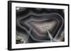 Banded Agate, Quartzsite, AZ-Darrell Gulin-Framed Photographic Print