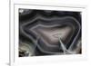 Banded Agate, Quartzsite, AZ-Darrell Gulin-Framed Photographic Print