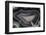 Banded Agate, Quartzsite, AZ-Darrell Gulin-Framed Photographic Print