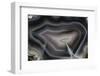 Banded Agate, Quartzsite, AZ-Darrell Gulin-Framed Photographic Print