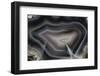 Banded Agate, Quartzsite, AZ-Darrell Gulin-Framed Premium Photographic Print