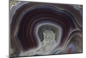 Banded Agate, Quartzsite, AZ-Darrell Gulin-Mounted Photographic Print