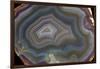 Banded Agate, Quartzsite, AZ-Darrell Gulin-Framed Photographic Print