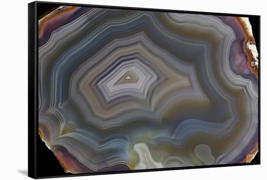 Banded Agate, Quartzsite, AZ-Darrell Gulin-Framed Stretched Canvas