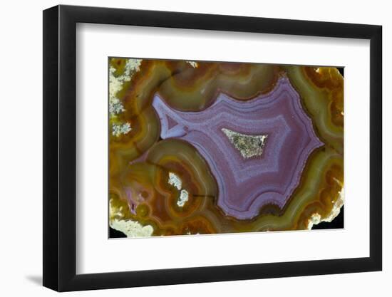 Banded Agate, Quartzsite, AZ-Darrell Gulin-Framed Photographic Print