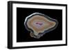 Banded Agate, Quartzsite, AZ-Darrell Gulin-Framed Photographic Print