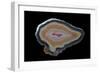 Banded Agate, Quartzsite, AZ-Darrell Gulin-Framed Photographic Print