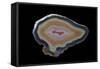 Banded Agate, Quartzsite, AZ-Darrell Gulin-Framed Stretched Canvas