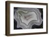 Banded Agate, Sammamish, Washington State-Darrell Gulin-Framed Photographic Print