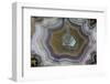 Banded Agate, Sammamish, Washington State-Darrell Gulin-Framed Photographic Print