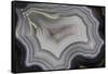 Banded Agate, Sammamish, Washington State-Darrell Gulin-Framed Stretched Canvas